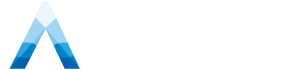 Audit Company